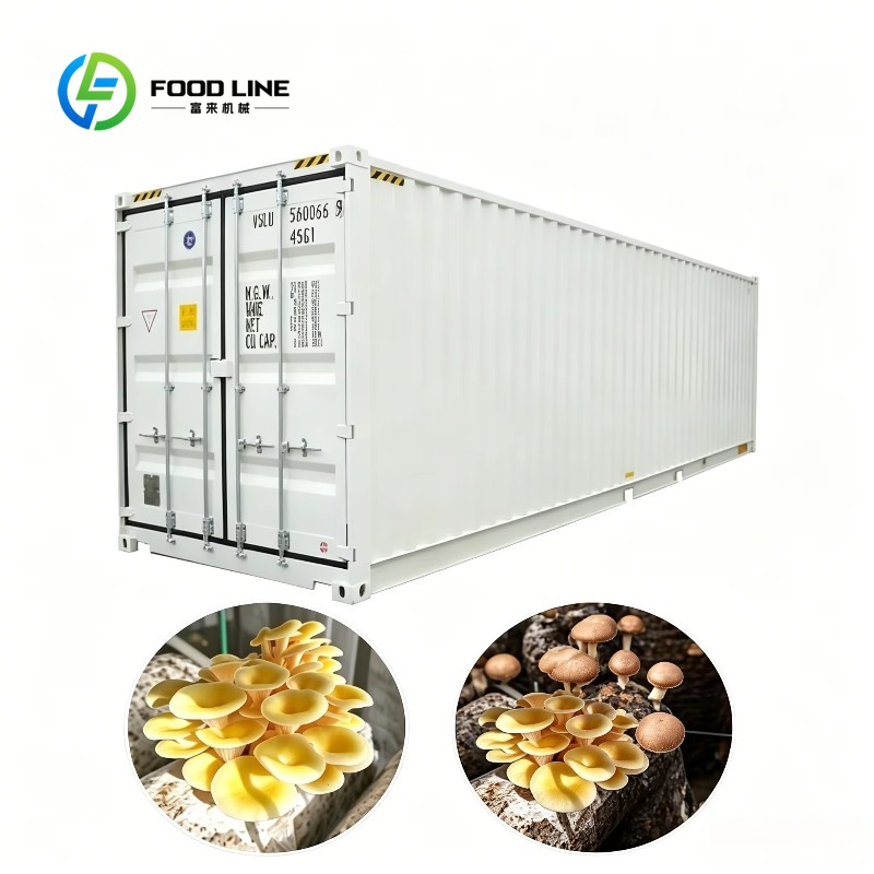 Urban Farming Project - Hydroponic Container Farm with Automated Irrigation