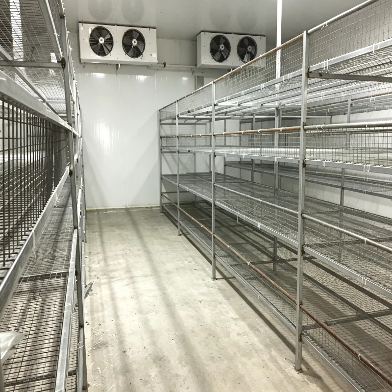 Hydroponic Container Farm with - Urban Farming Project review and price