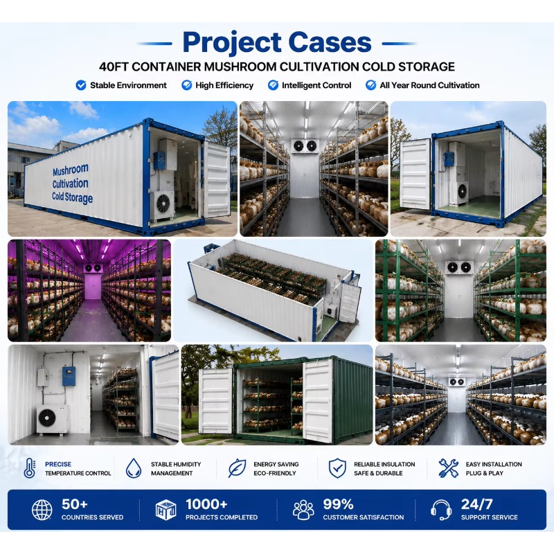 Hydroponic Container Farm with - Urban Farming Project review and price